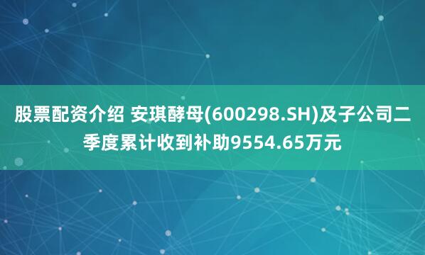 股票配资介绍 安琪酵母(600298.SH)及子公司二季度累计收到补助9554.65万元